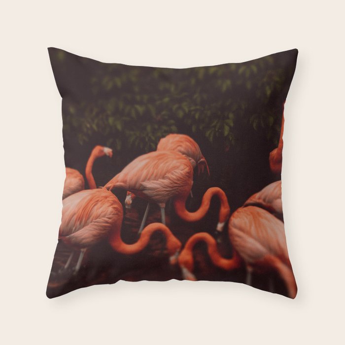 Flamingos Throw Pillow Gallery Image 1