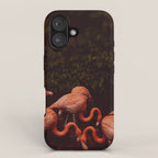 Flamingos iPhone Case Gallery Image 1
