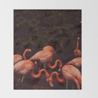 Flamingos Throw Blanket Gallery Image 2