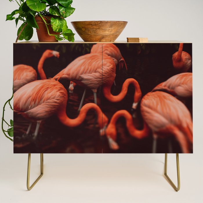 Flamingos Credenza Gallery Image 1