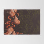 Flamingos Rug Gallery Image 2