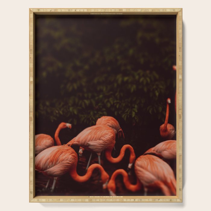 Flamingos Serving Tray Gallery Image 1