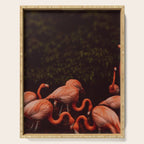Flamingos Serving Tray Gallery Image 1