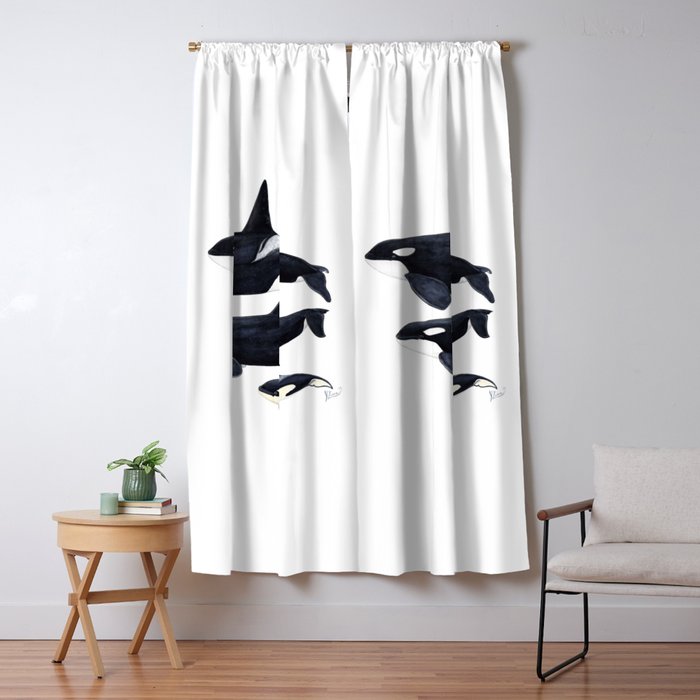 Orca (Orcinus orca) Window Curtain Gallery Image 5