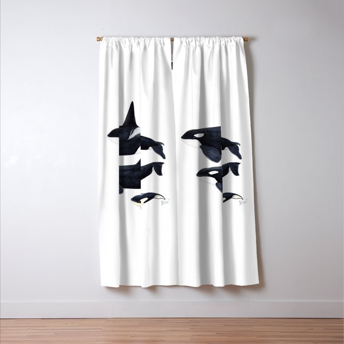 Orca (Orcinus orca) Window Curtain Gallery Image 3