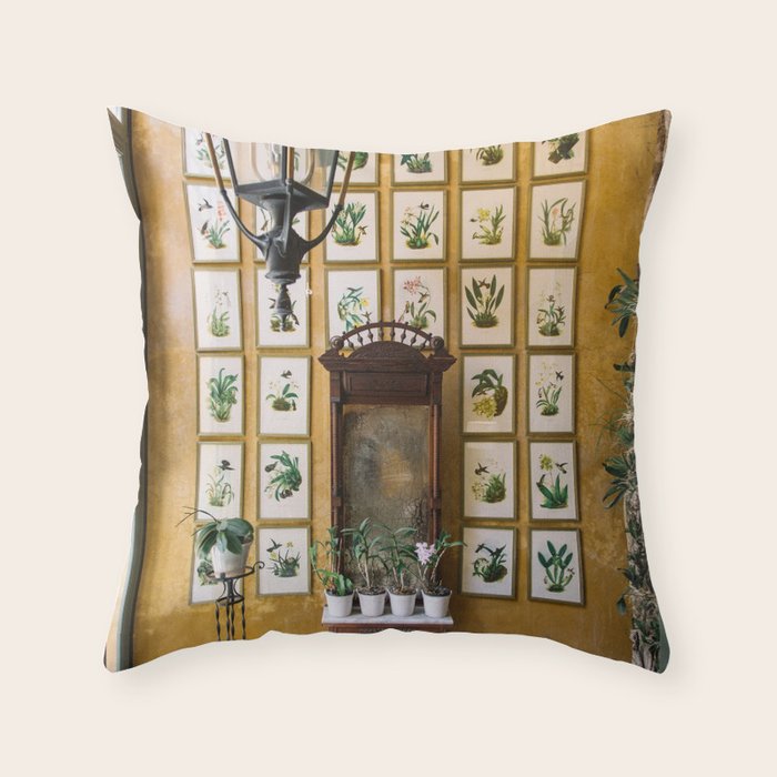 A Wall of Orchids, Merida, Mexico Throw Pillow Gallery Image 6