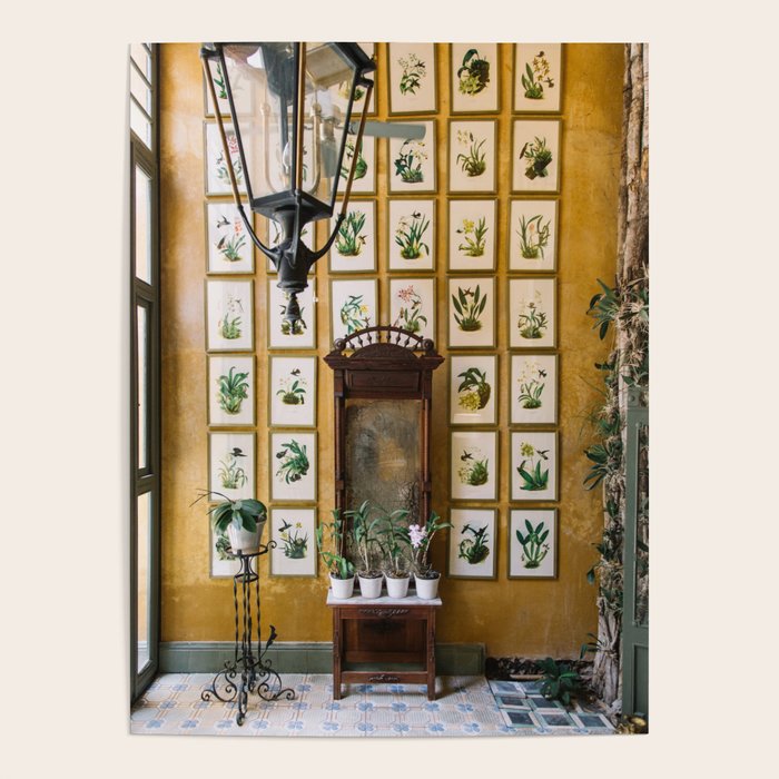 A Wall of Orchids, Merida, Mexico Poster Gallery Image 4