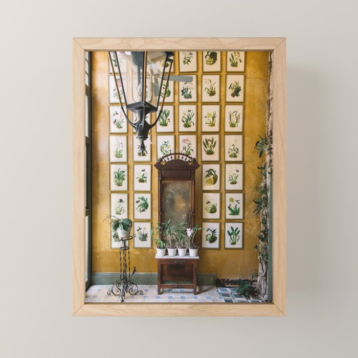 A Wall of Orchids, Merida, Mexico Mini Art Print Gallery Image 1