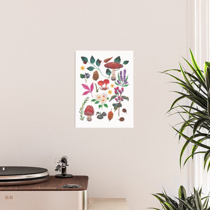 Autumn garden plants Poster Gallery Image 2