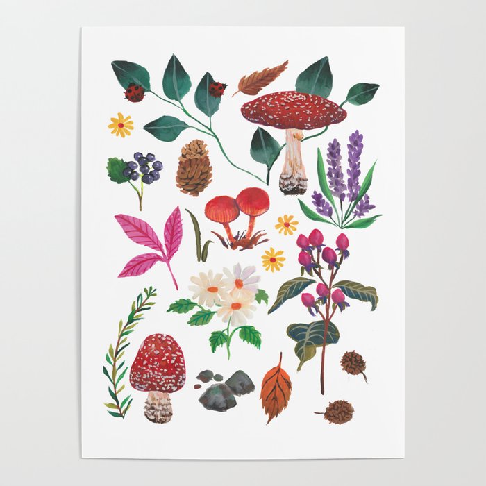 Autumn garden plants Poster Gallery Image 4