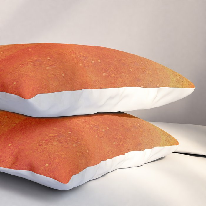 Within Pillow Sham Gallery Image 3