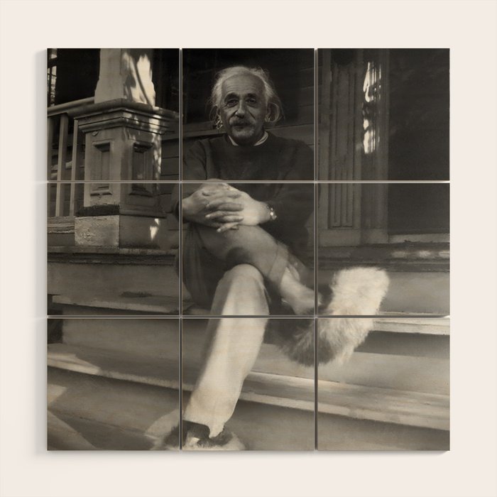 Funny Einstein in Fuzzy Slippers Classic Black and White Satirical Photography - Photographs Wood Wall Art Gallery Image 1