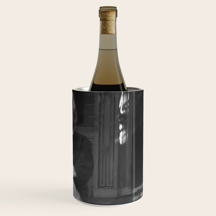 Funny Einstein in Fuzzy Slippers Classic Black and White Satirical Photography - Photographs Wine Chiller Gallery Image 3