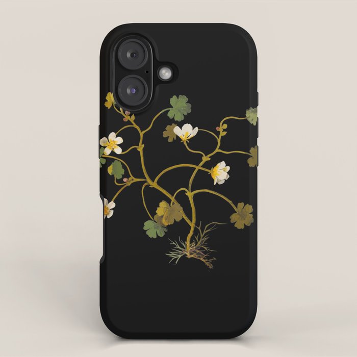 Ranunculus Aquaticus (Polyandria Polygynia) by Mary Delany Paper Collage Floral Flower Botanical Paper Mosaic Vintage Scientific Plant Anatomy iPhone Case Gallery Image 1
