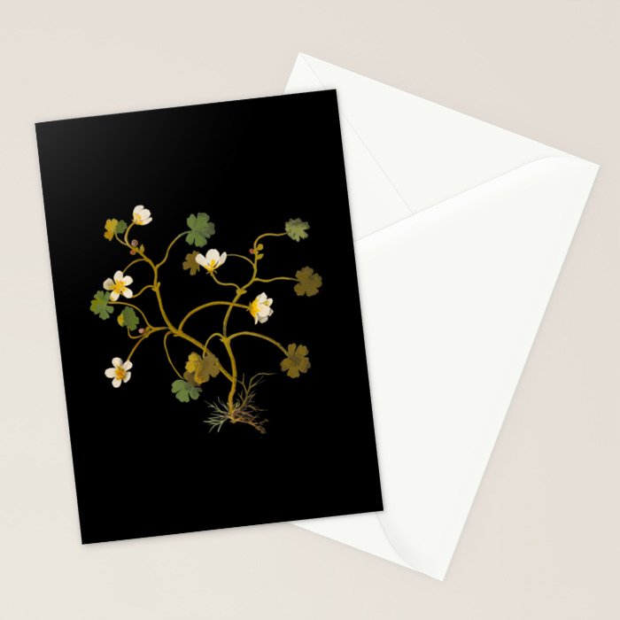 Ranunculus Aquaticus (Polyandria Polygynia) by Mary Delany Paper Collage Floral Flower Botanical Paper Mosaic Vintage Scientific Plant Anatomy Stationery Card Gallery Image 2