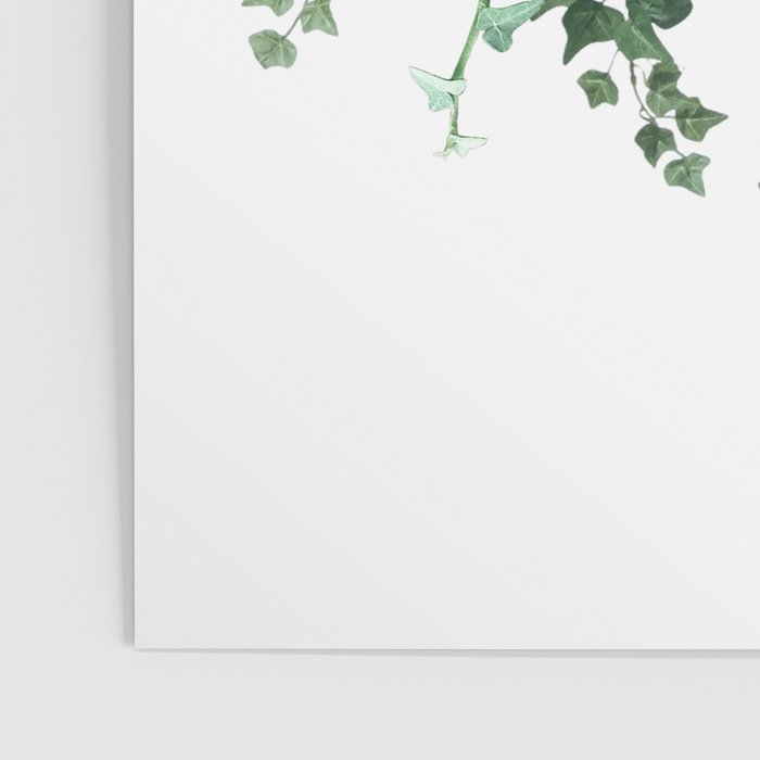 Ivy Vine Drop Poster Gallery Image 3