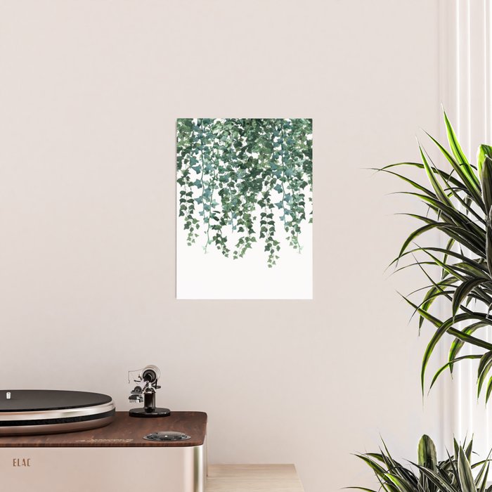 Ivy Vine Drop Poster Gallery Image 2