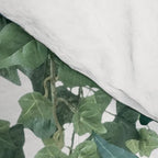 Ivy Vine Drop Comforter Gallery Image 4