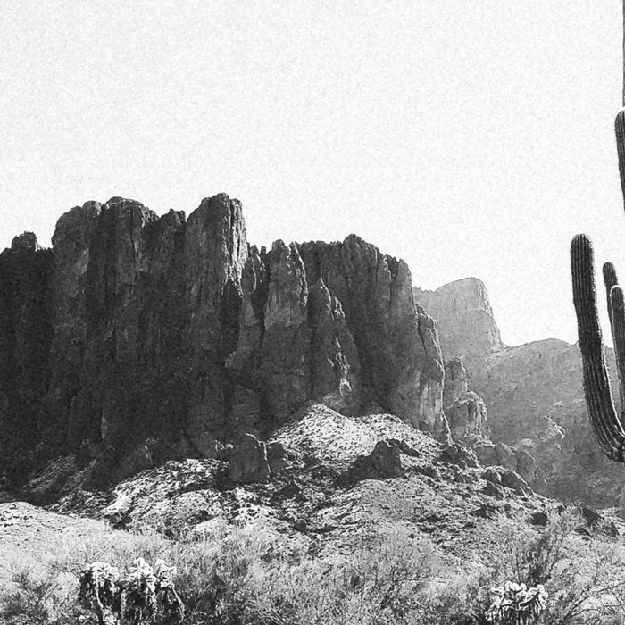 ARIZONA DESERT II Coffee Mug Gallery Image 2