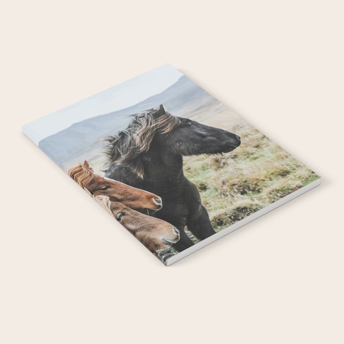 Thingeyrar, Iceland Notebook Gallery Image 2