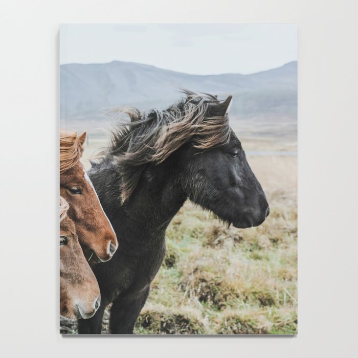 Thingeyrar, Iceland Notebook Gallery Image 4