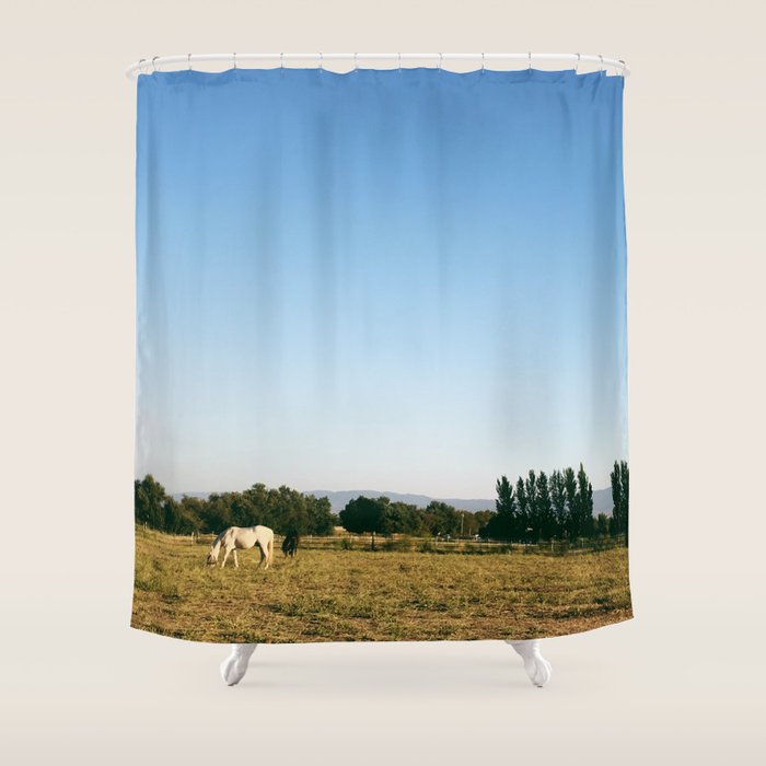HORSES IN CALIFORNIA Shower Curtain Gallery Image 1