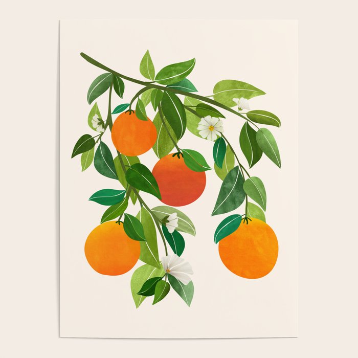 Oranges and Blossoms Tropical Fruit Painting Poster Gallery Image 4