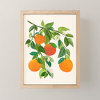 Oranges and Blossoms Tropical Fruit Painting Mini Art Print Gallery Image 1