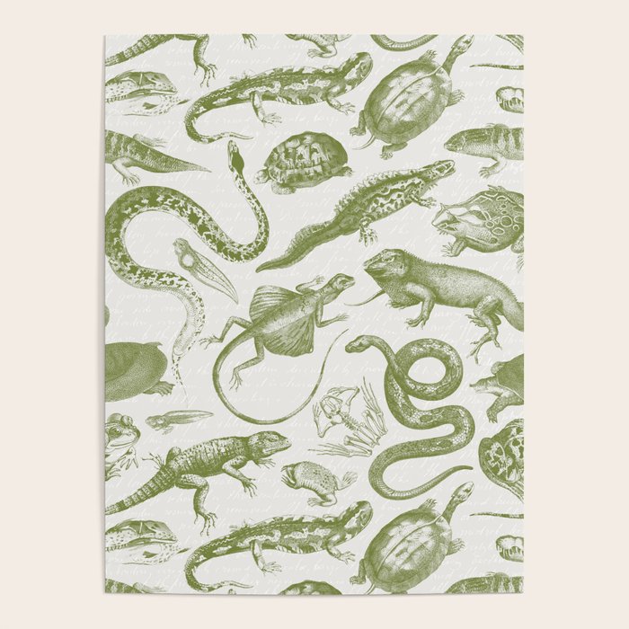 Reptiles and Amphibians Vintage Chic Monochromatic Pattern  Poster Gallery Image 4