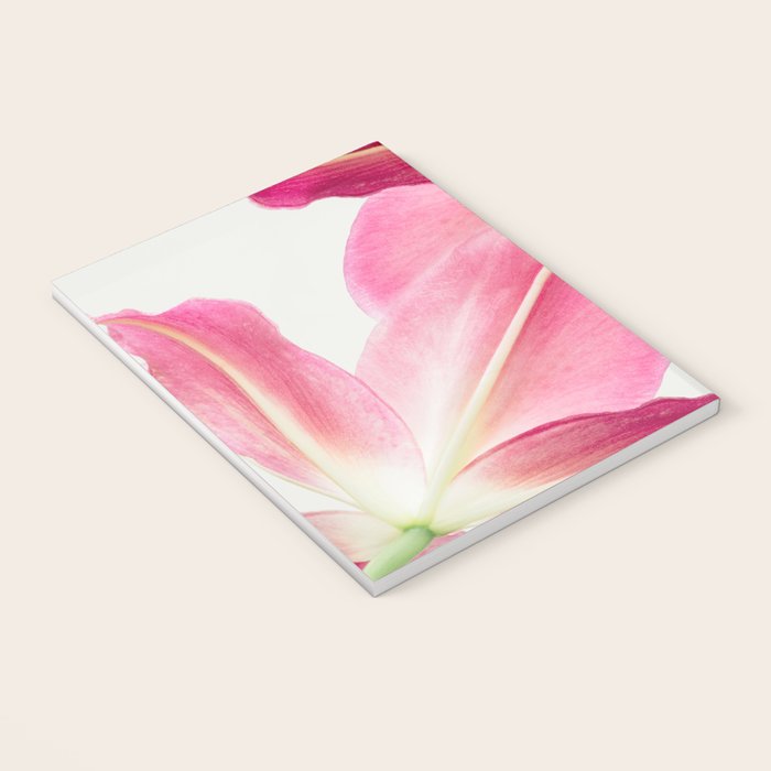 Pink Petals - Flower Photography, Botanical Notebook Gallery Image 3