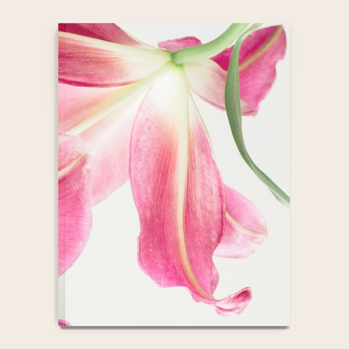 Pink Petals - Flower Photography, Botanical Notebook Gallery Image 4