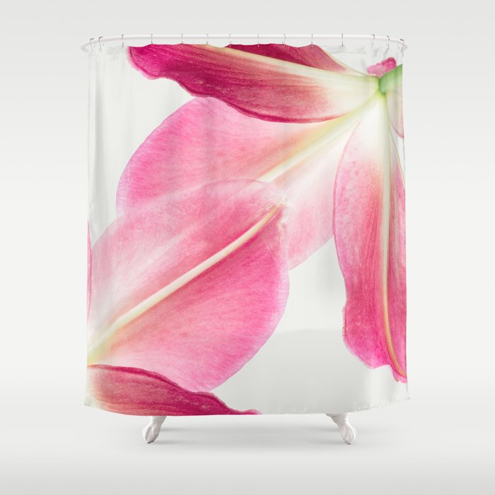 Pink Petals - Flower Photography, Botanical Shower Curtain Gallery Image 1