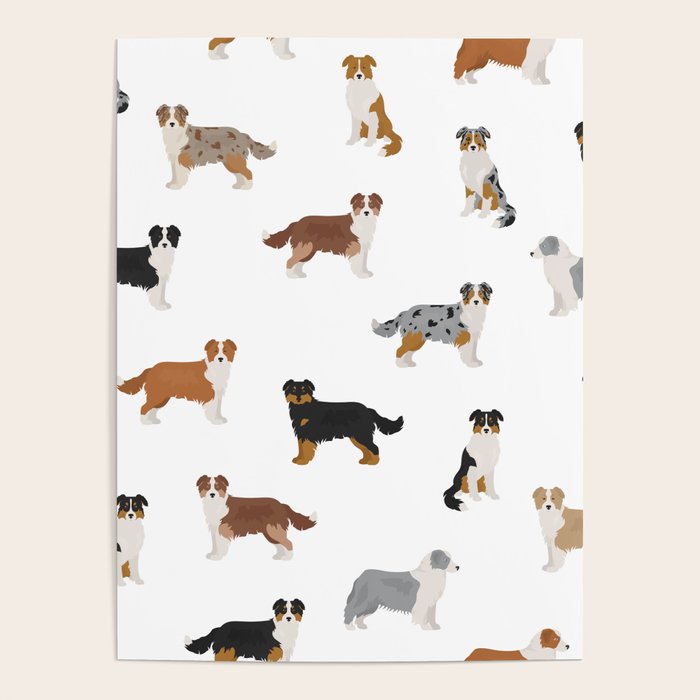 Australian Shepherd Colors Pattern Poster Gallery Image 1