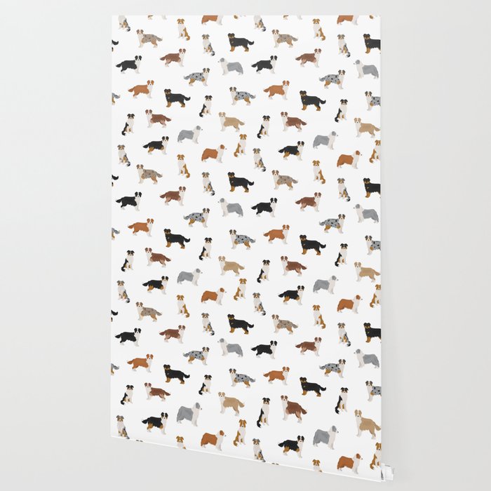 Australian Shepherd Colors Pattern Wallpaper Gallery Image 2