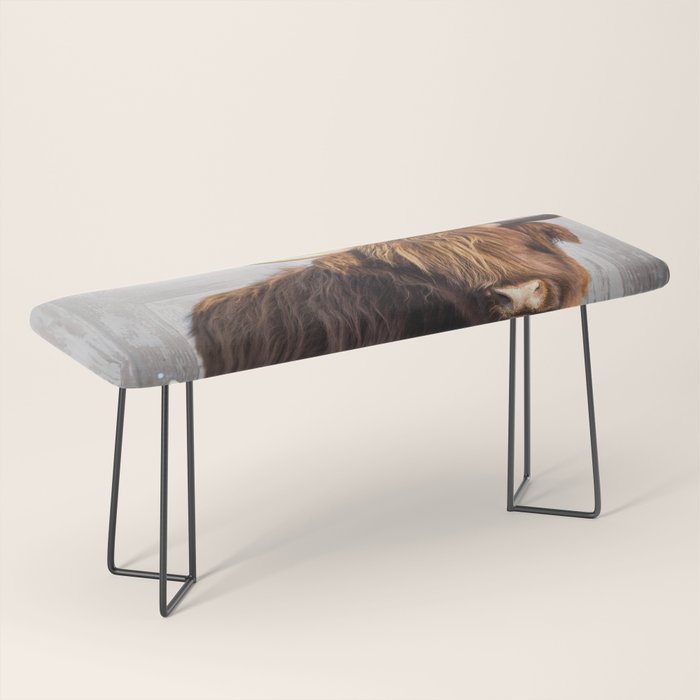 Highland Cow in the Tub Bench Gallery Image 1