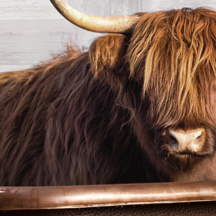 Highland Cow in the Tub Coffee Mug Gallery Image 2