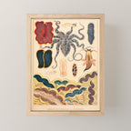 Molluscs from âThe Great Barrier Reef of Australiaâ by William Saville Kent, 1893 Mini Art Print Gallery Image 1