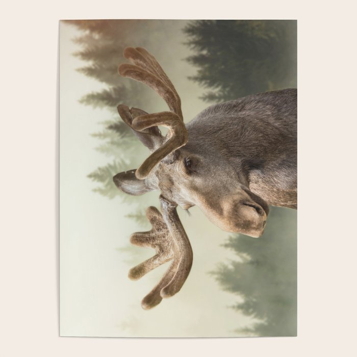 Moose Poster Gallery Image 4