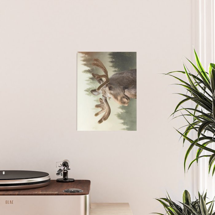 Moose Poster Gallery Image 2