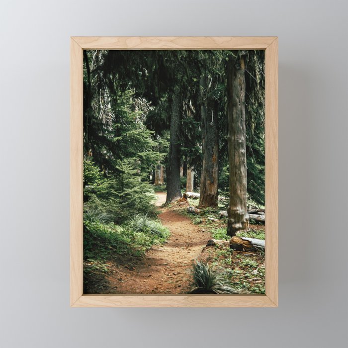 Forest Trail Mini Art Print Gallery Image 1