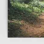 Forest Trail Poster Gallery Image 3