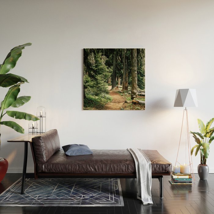 Forest Trail Wood Wall Art Gallery Image 2