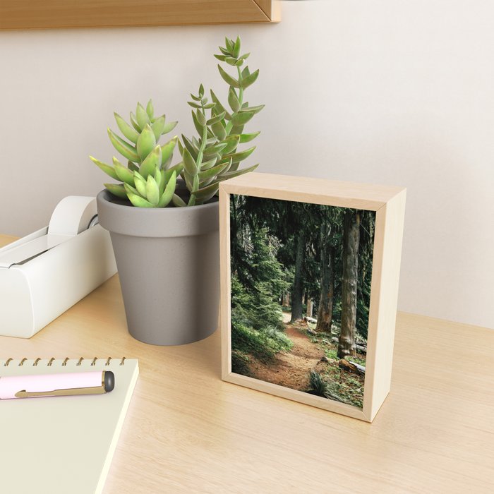 Forest Trail Mini Art Print Gallery Image 2
