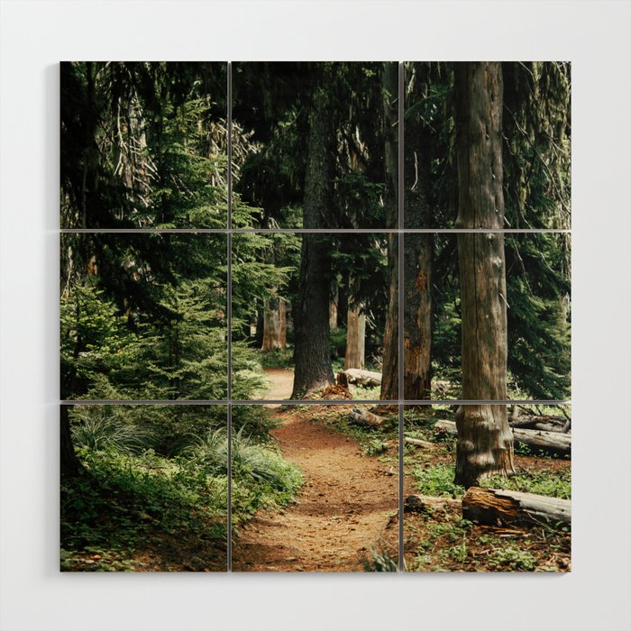 Forest Trail Wood Wall Art Gallery Image 1
