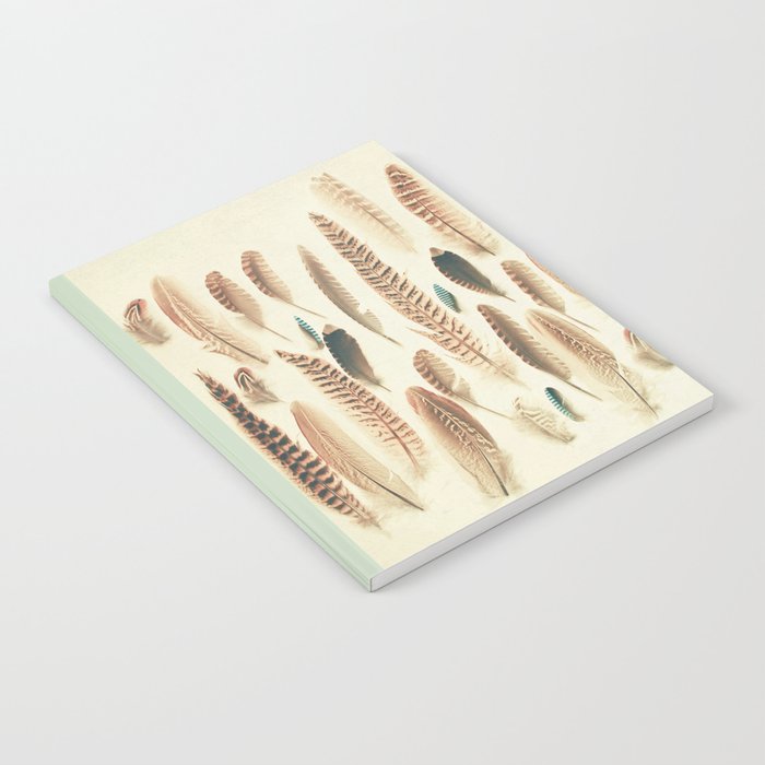 Found Feathers Notebook Gallery Image 2
