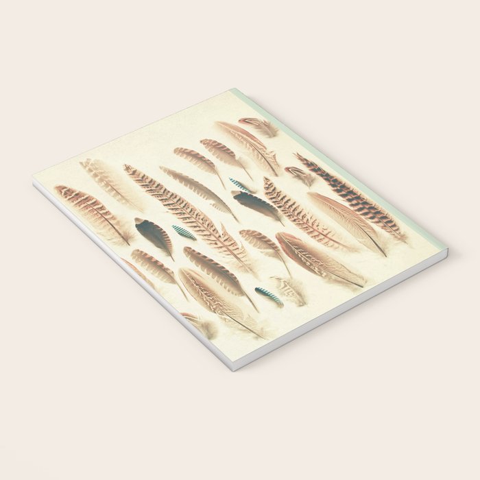 Found Feathers Notebook Gallery Image 3