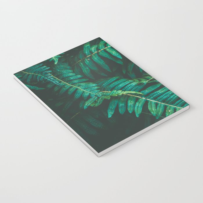 Ferns  Notebook Gallery Image 3