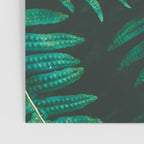 Ferns  Poster Gallery Image 3
