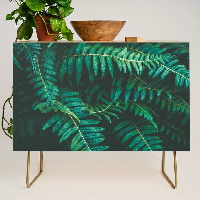 Ferns  Credenza Gallery Image 1
