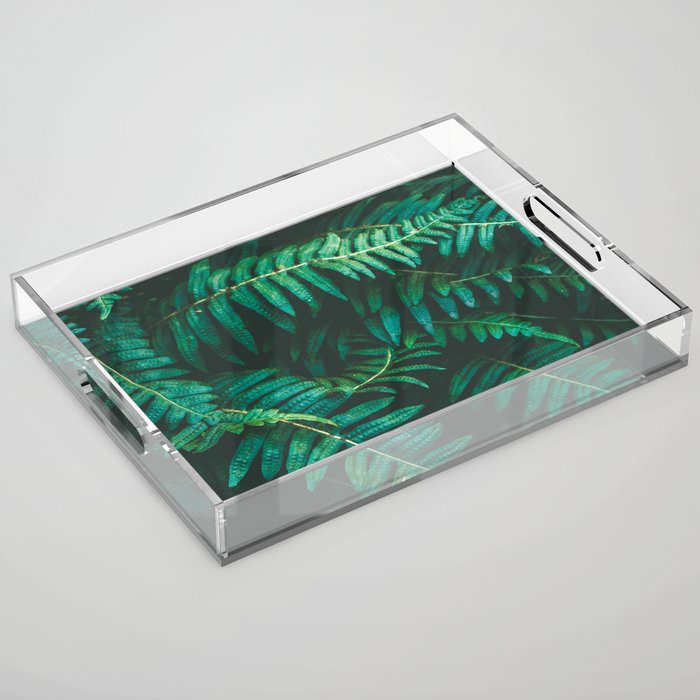 Ferns  Acrylic Tray Gallery Image 1